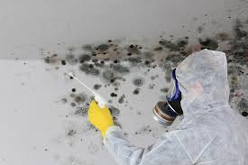 Best Crawl Space Mold Remediation  in Tangelo Park, FL